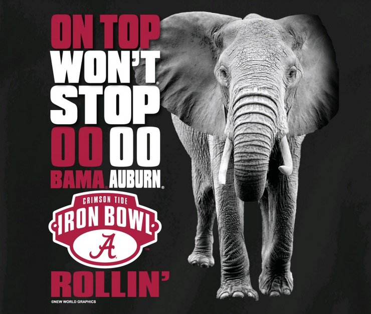 Fanatic Fanz (fanatic_fanz) Twitter