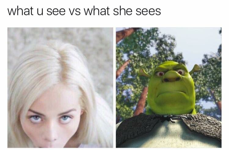 mediocrecamgirl's tweet photo. Shrek is love https://t.co/XYbncFkA9C