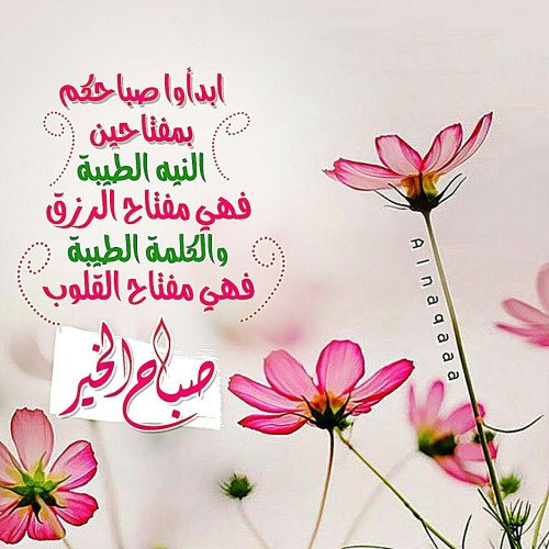 حمامة السلام On Twitter صباحكم طاعة وعبادة وإخلاص لرب السماء فهنيئا لكم محبي المصطفى وآله في البدء والانتهاء صباحكم خير ببركة الصلاة على محمد وآل محمد Bdoor At Https T Co Znugs9ktkq
