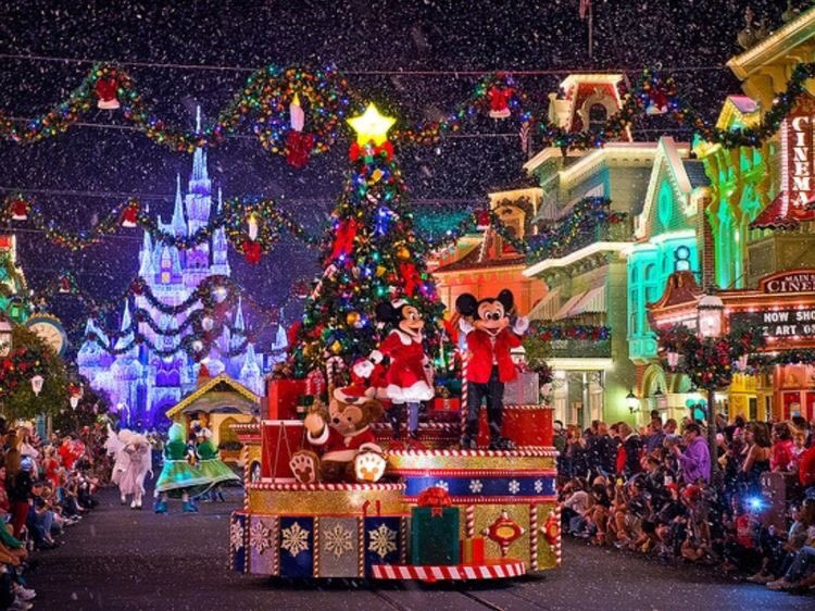 DisneyLife101's tweet photo. Disney during the holidays though 😍🎄❤️ https://t.co/oK3K91tjh4
