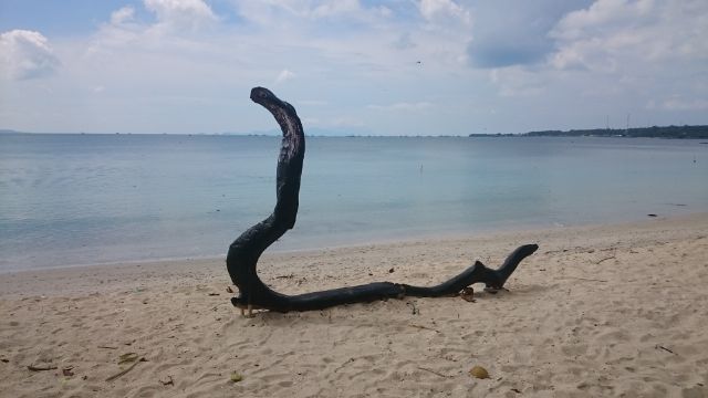 Media Tweets By M At Pantaiembe Twitter