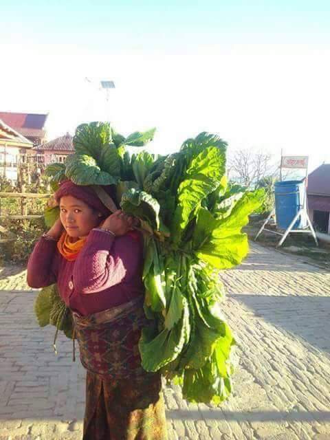 ए हजुर! रायाको साग राख्नु हुन्छ??