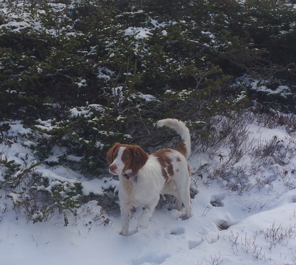 Great morning on the table mountains