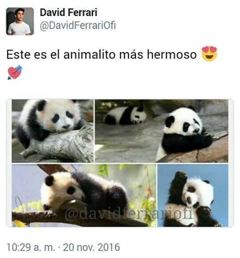 MariaGar941776's tweet photo. @JordiLopezMira3 https://t.co/AbVX39FM4Y
