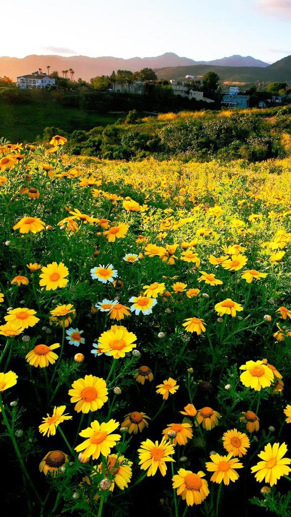 اللہم مع أنفاس هذا الصباح
ارزُقنا حُلو الحياة وخير العطاء
وسعة الرزق وراحة البال 
ولباسَ العَافية
#صباح الخير 🙋"