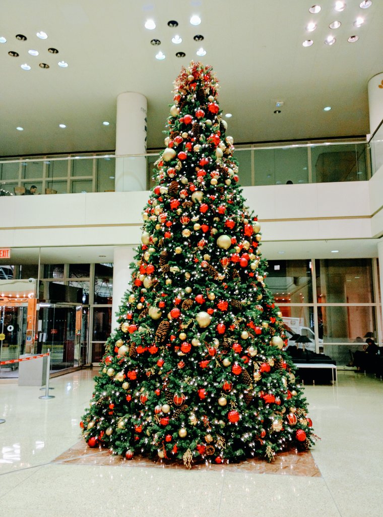 An amazing tree for an amazing hospital #amazingthingsarehappeninghere <a href="/gsupgh/">grace su</a> @HeadRNColumbia <a href="/NurseTheresaNYP/">Theresa Vazquez</a> #HappyHolidays #Christmas