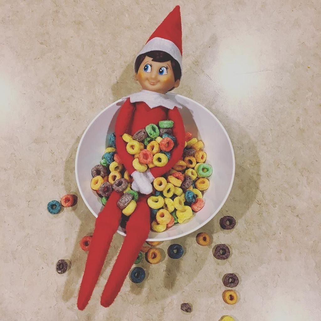 chris_casseday's tweet photo. ...and so it starts. #elfontheshelf #fruitloops #dadthat https://t.co/dLwMzS7hII