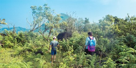 LPMagIn's tweet photo. Get back to your roots in the Huli Vana Rainforest Retreat, #Hassan, #Karnataka...
#PlanATrip with our Dec issue...
#travel #EasyTrips https://t.co/mrG3Twq7IV