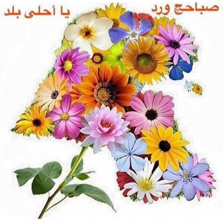 om_nasserS's tweet photo. https://t.co/seYJwS0ikt