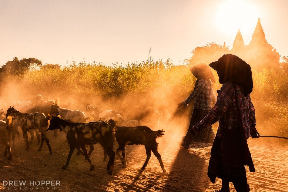 EarthShots's tweet image. A year ago today: Dusty Walk Home by Drew Hopper earthshots.org/2015/11/dusty-…