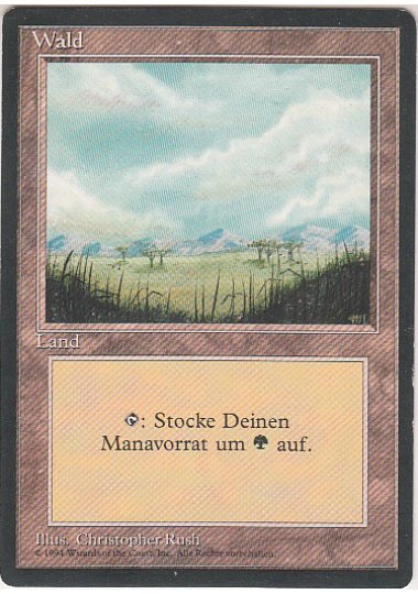 Mtg専門店 Cardshopserra 第3版 森 Forest ドイツ語 エラーカードを入荷いたしました イラスト は平地ですが ゲームでは森として扱います テキストにも あなたのマナ プールに 緑 を加える と ドイツ語で 書いてあります T Co