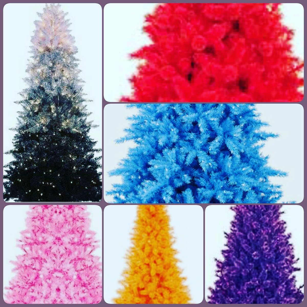 dothan_social's tweet photo. Getting in the holiday spirit with these amazing #ChristmasTrees#dothansocialevents #winelife #shopalabama #dothanal #wiregrasslocal#holiday https://t.co/nM5MMSRlOD