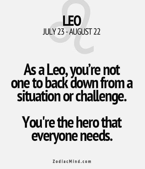 henrive2's tweet image. 