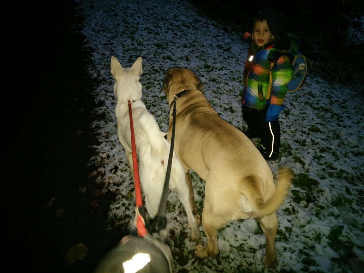 MuffinLoveDog's tweet photo. War ja mal lange nicht hier https://t.co/CZFRytkQvp
