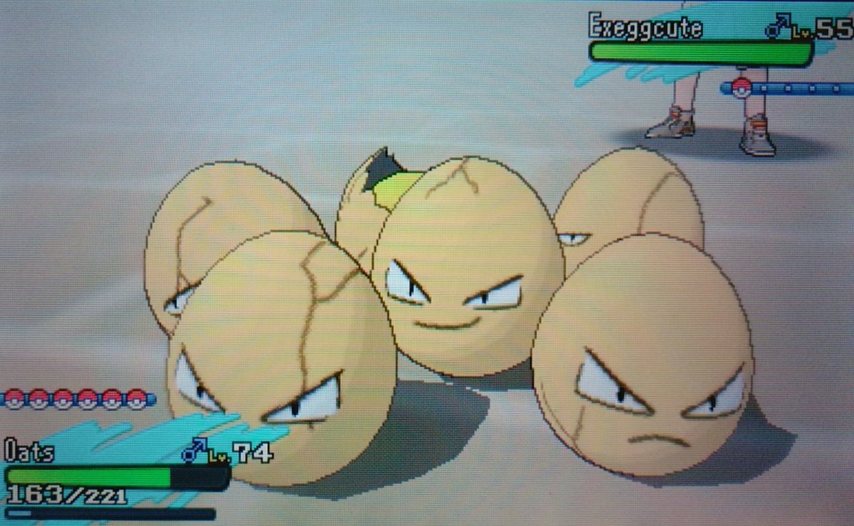 MallowyGoodness's tweet photo. This man just fights you all it a sudden with a shiny execute, and gives you 6 nuggets afterwards.... #pmlt https://t.co/QflwL2q01B