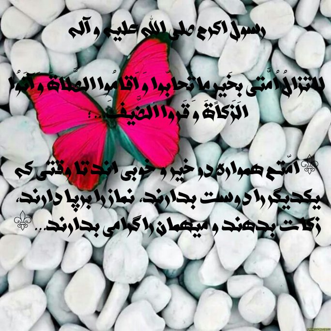 interpolationnn's tweet image. 