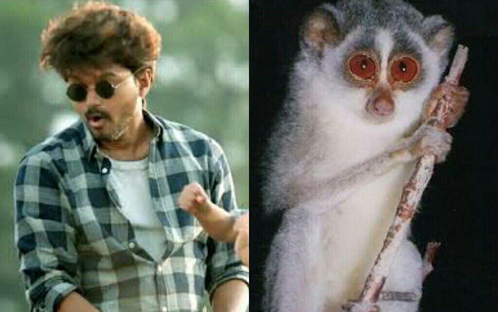 Nair_officl's tweet photo. பத்து பொருத்தமும் சும்மா பச்சக்கு பச்சக்குனு பொருந்து 

SOBbing THEVANGU VIJAY FANS https://t.co/XLU2x1WOlP