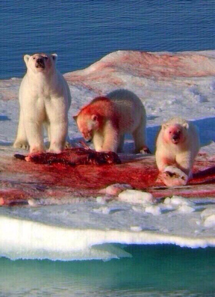 I thought they drank Coke...