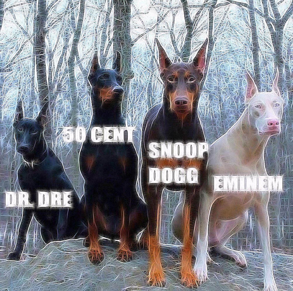 SilverStingray4's tweet image. @drdre @50cent @SnoopDogg @Eminem #RapPack #CrazedDogs 🎤🐺🐺🐺🐺 @TangledFX