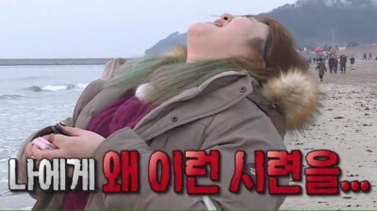 폴라워 이미지