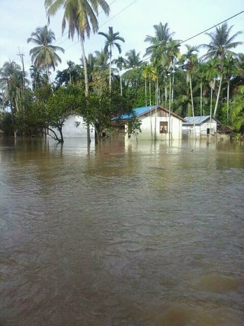 ferdyaceh's tweet photo. Kondisi banjir di Gampong Pulo, Kecamatan Pasie Raya, Aceh Jaya saat ini. #banjir #acehvideo @iloveaceh https://t.co/0Tg1se2XyH