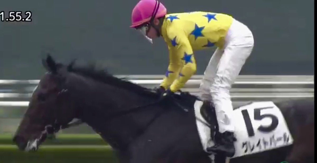 Nakauchida Stable (@nakauchida_s) on Twitter photo Great Pearl won again for 3rd time this year for <a href="/FahadAlthaniQR/">Fahad Al-Thani</a> <a href="/dredvers/">David Redvers</a> <a href="/hannahmwall/">Hannah Mary Wall</a> Great ridden by <a href="/mickaelbarzalon/">mickael barzalona</a> Great Pearl won again for 3rd time this year for <a href="/FahadAlthaniQR/">Fahad Al-Thani</a> <a href="/dredvers/">David Redvers</a> <a href="/hannahmwall/">Hannah Mary Wall</a> Great ridden by <a href="/mickaelbarzalon/">mickael barzalona</a>