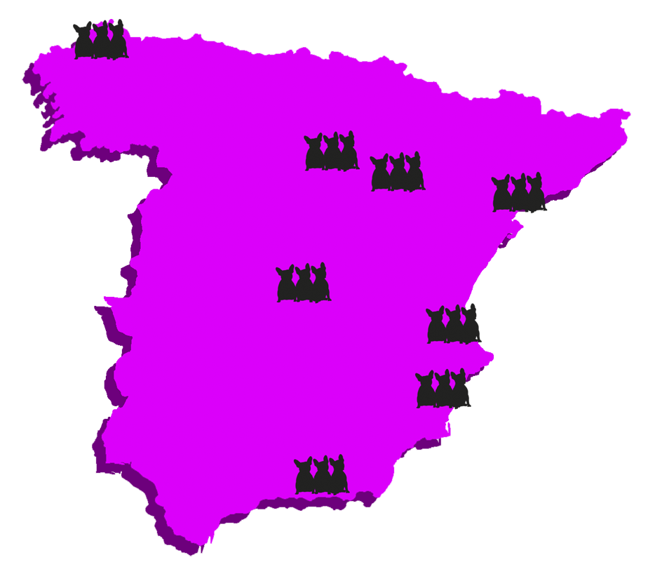 xidereco's tweet photo. Eres una tienda? Compra hoy stock #blackfriday #enviogratis 60% 50% https://t.co/Mg0JPMvqVw https://t.co/aNVA2VgLy2