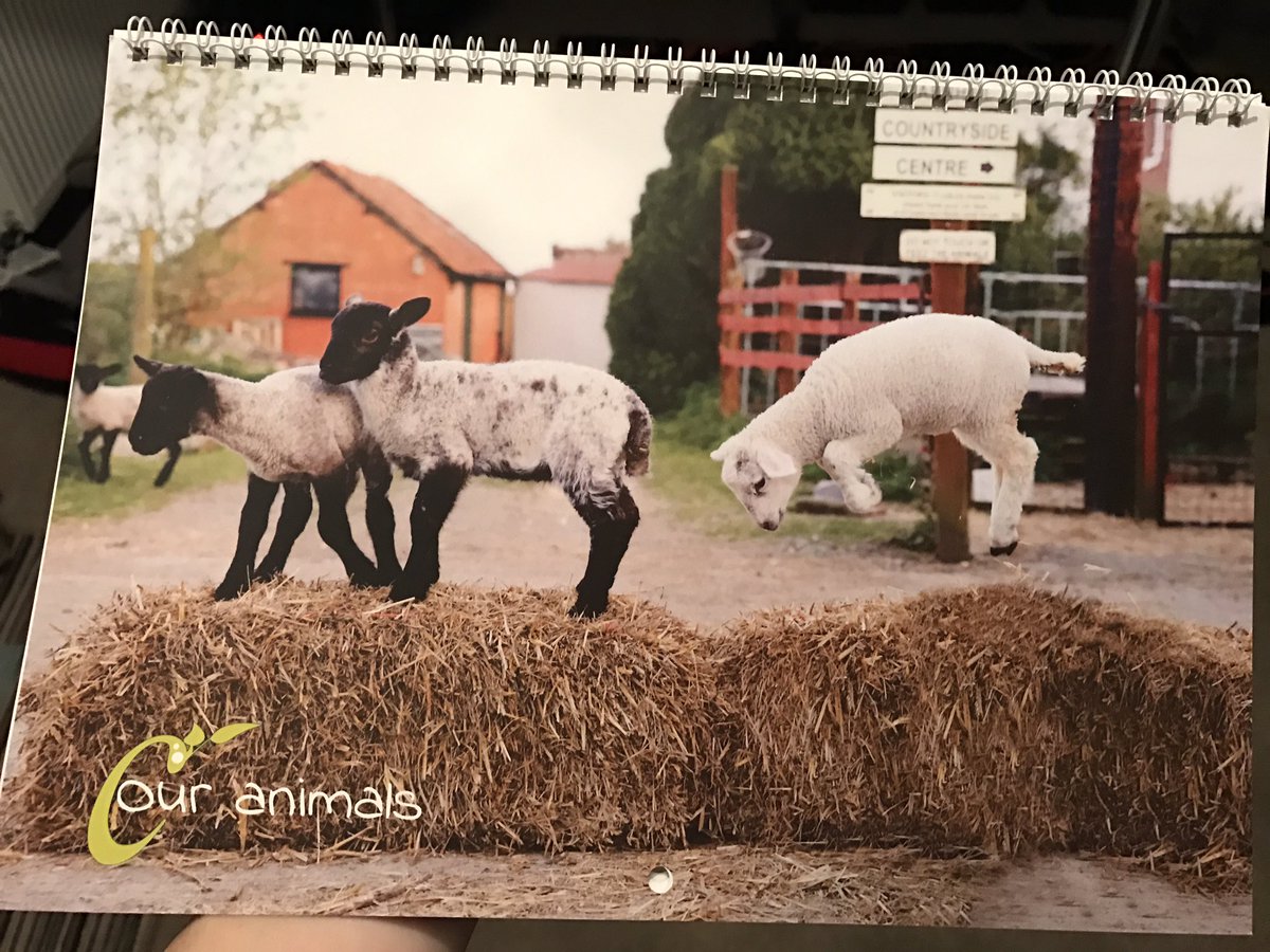 Chloe MissAutomotiv tweet media