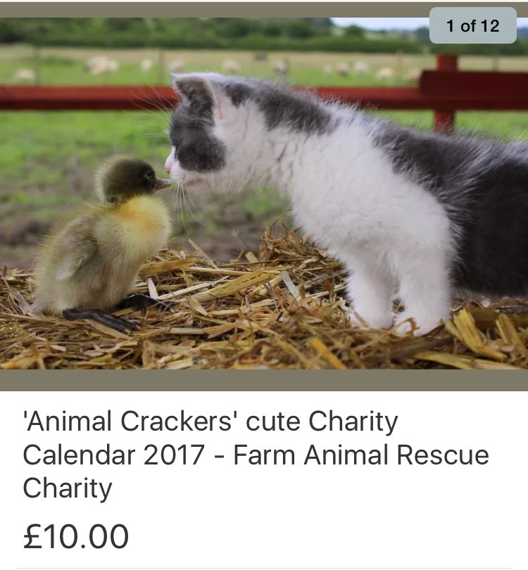 Chloe MissAutomotiv tweet media