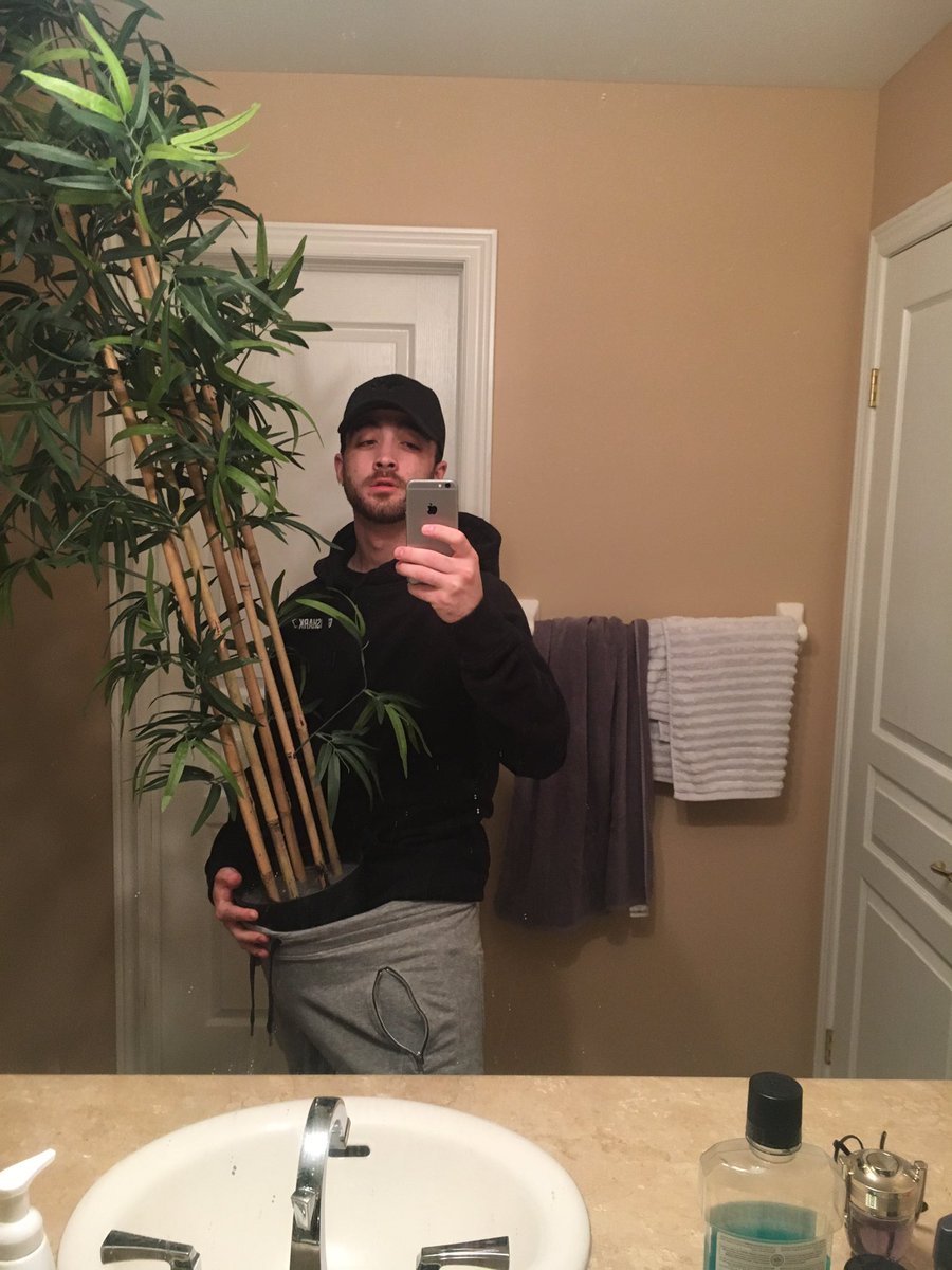 the grey sweatpants