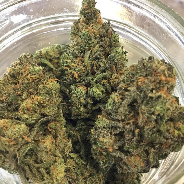 AnaheimPC's tweet photo. Beyond Blue Purple is a Sativa dominant hybrid that combines Blue Dream and Purple Kush. A head high that also has a body relaxant effect. https://t.co/AO2OKK4drp