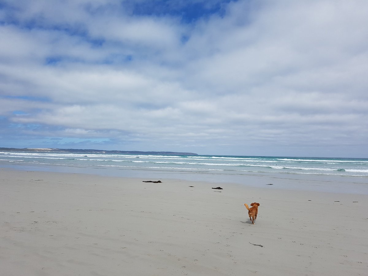 Trip down memory lane 4 my parents at cape bridgewater-they owned land overlooking this paradise in 70s! #beachbums