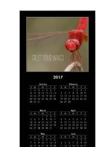 #Posters are 65% off • LAST DAY • NaturesFolio.com/22855386372146… • #Red #Dragonfly #TrustYourWings #2017Calendar
