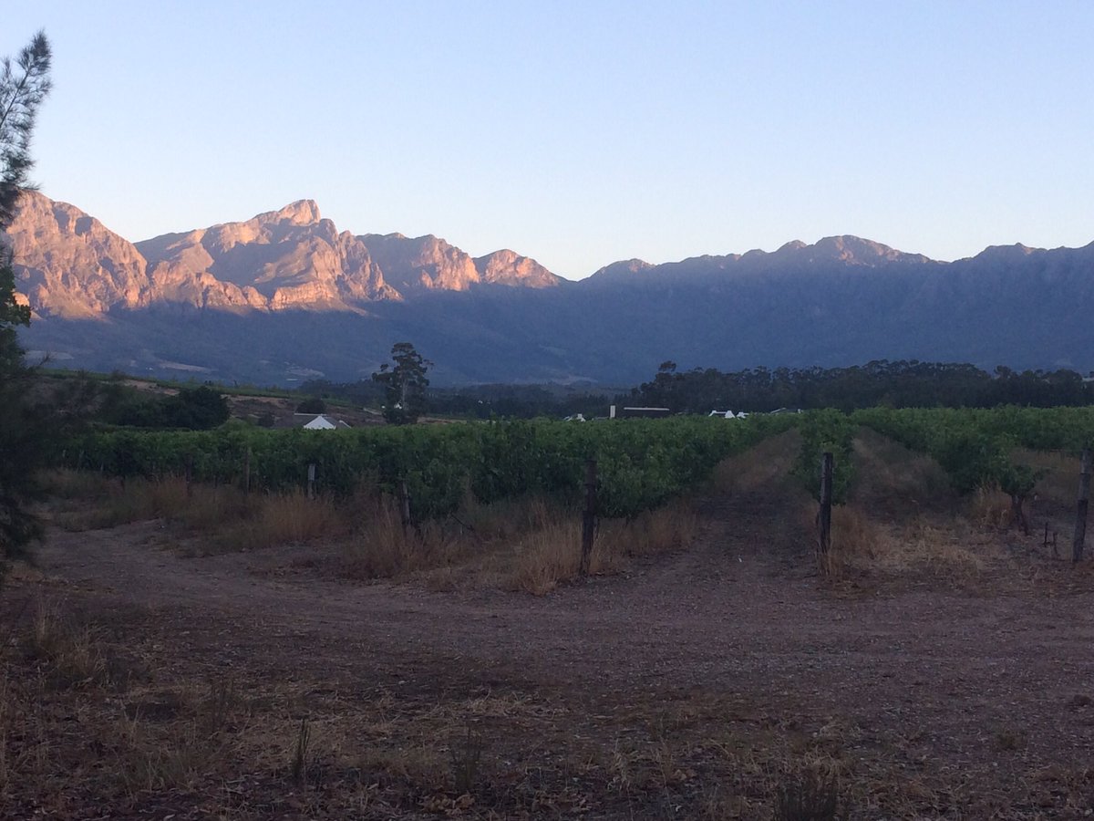 The splendor in the early mornings #villatarentaal,