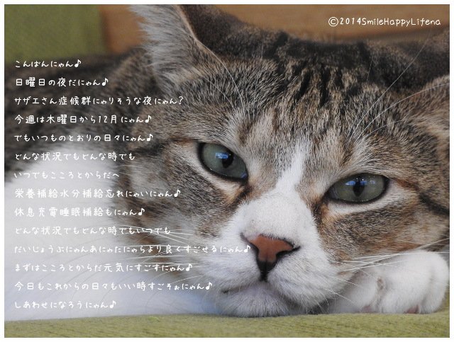 Twitterで画像を見る