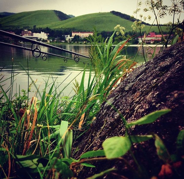 Alternative backdrops from our good friend @undercarp_jp... doing it over in Japan! #xcelbaits #VNF #KSC #carpfishing #Autumn #buzz