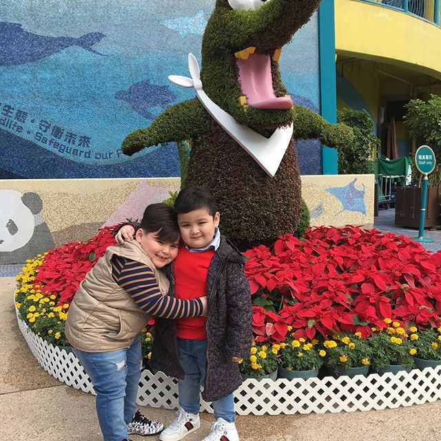 baebysebaste's tweet photo. Making good memories together ❤️ 

#MAlovesALDEN #ALDUBinEnteng10 https://t.co/cZYjY9dq5G