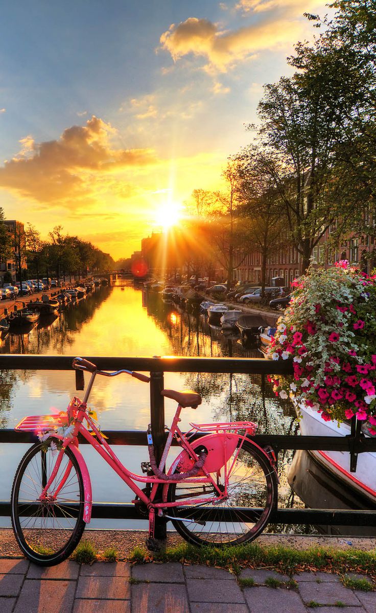 waytostay's tweet photo. You simply cannot go to #Amsterdam and not rent a bike!! Its the only way to travel in this great city! #Travel #Cityscape https://t.co/x3wgdkNRA2