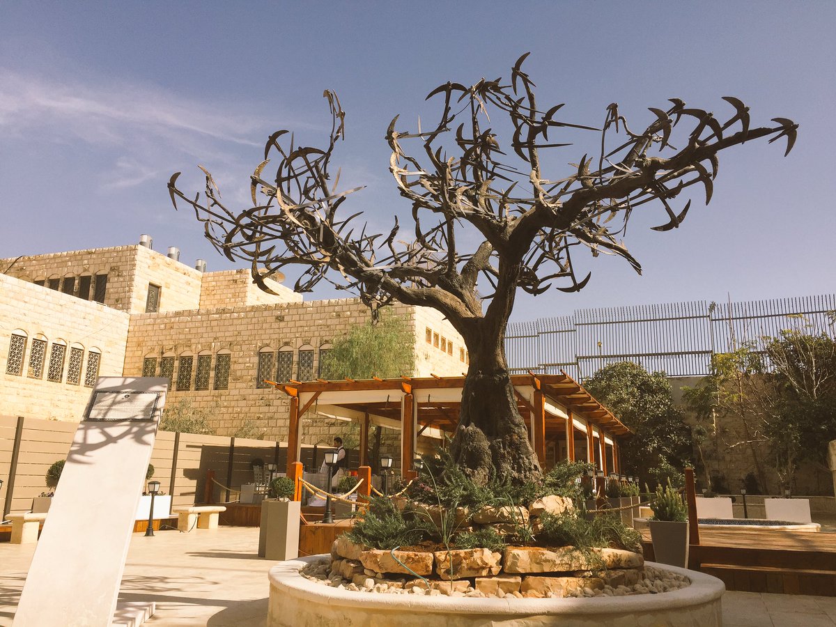 My Tree of Hope unveiled in the heart of the Old City of Jerusalem