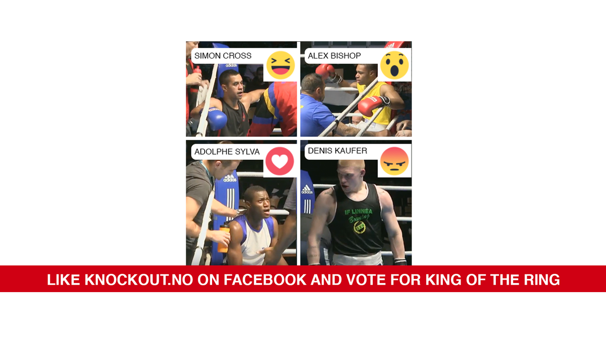 Knockout.no tweet media