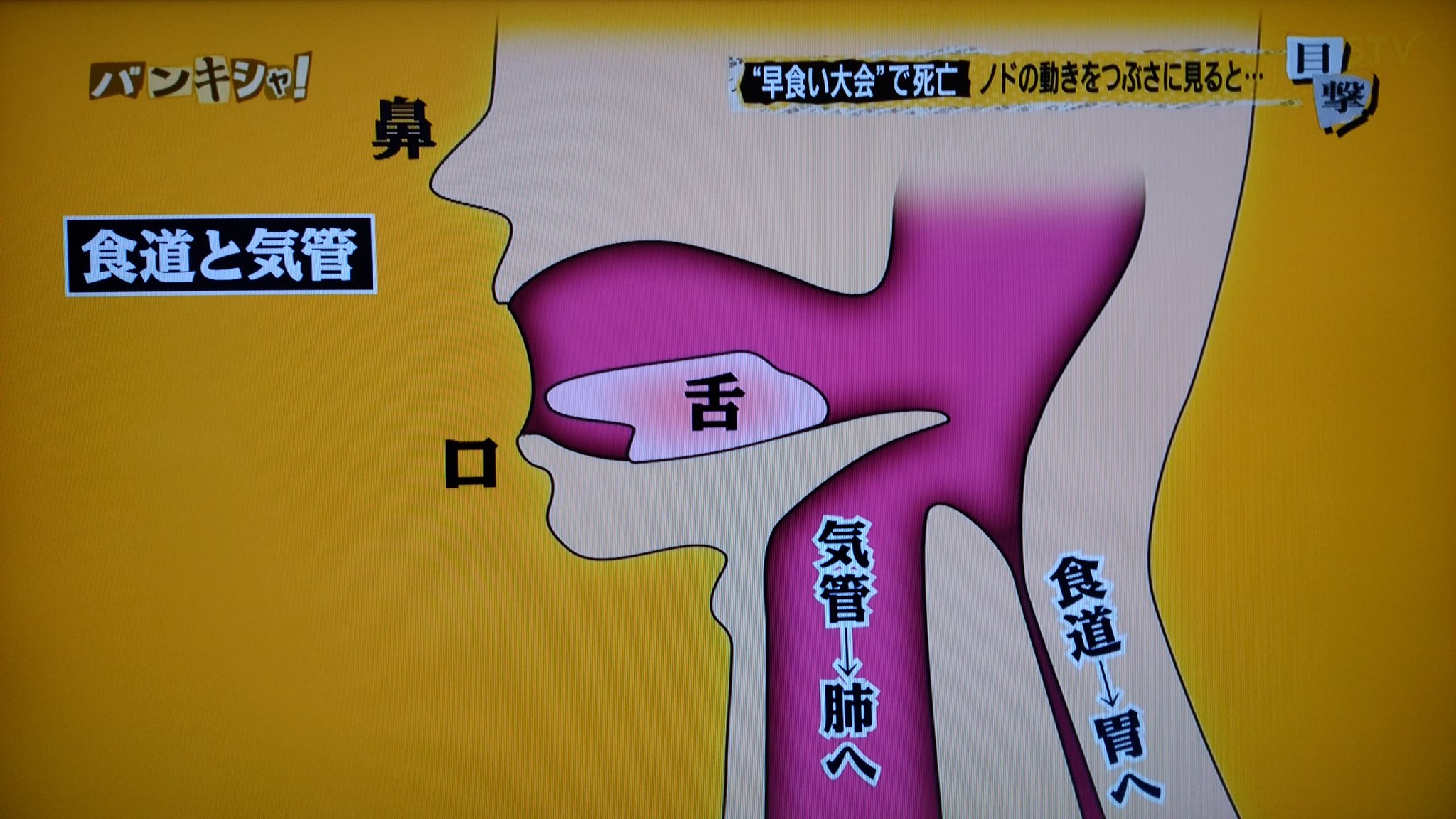 大食い世界一決定戦 Twitter Search Twitter