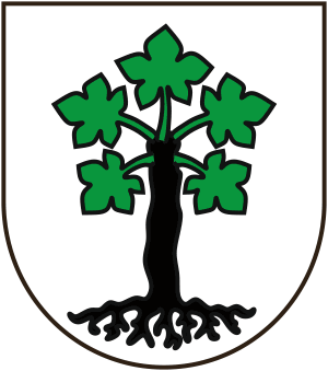 ParcAdula's tweet photo. Vischnaunca da Trun: 
Sì, Ja, Gie 
#parcadula @RSInews @srfnews @RTRSRG
https://t.co/qwTUkhQGxc https://t.co/4pGl5sKNqq