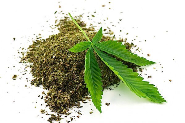 ncg_boutique's tweet photo. How to Decarboxylate Cannabis | Whaxy https://t.co/h1K49lJyIS https://t.co/ji5qxV5LCx
