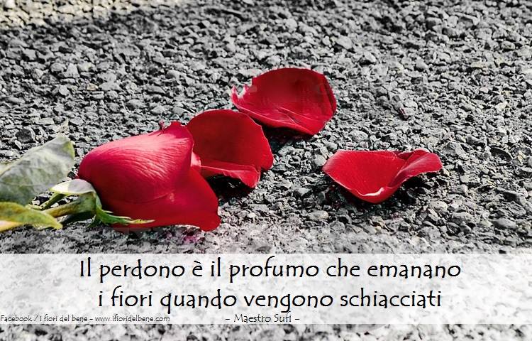 Ifioridelbene_'s tweet image. Il perdono è il profumo che emanano i fiori quando vengono schiacciati
#cit #citazione #citazionedelgiorno #gardening #garden  #mestrosufi