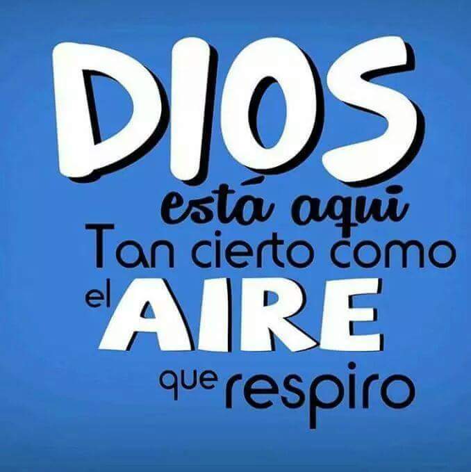 CristianoMundia's tweet image. Tan cierto como en la mañana se levanta el sol.