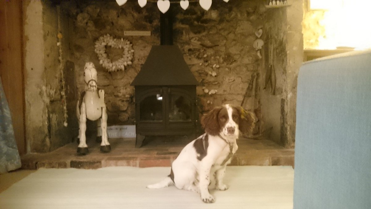 GardenHound's tweet photo. We on holibobs this week, Garden Lady is for a few days going to be Beach Lady apparently, lotta walkings #Devon https://t.co/l1ulV8nSRk