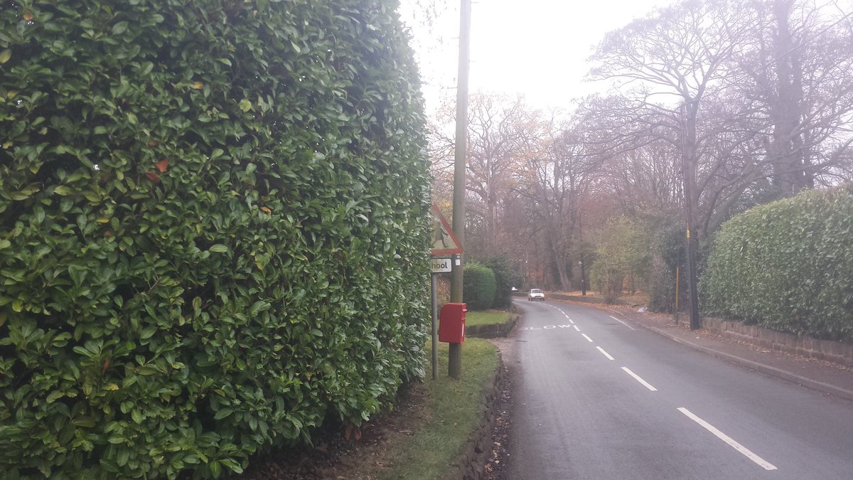 Christleton tweet media