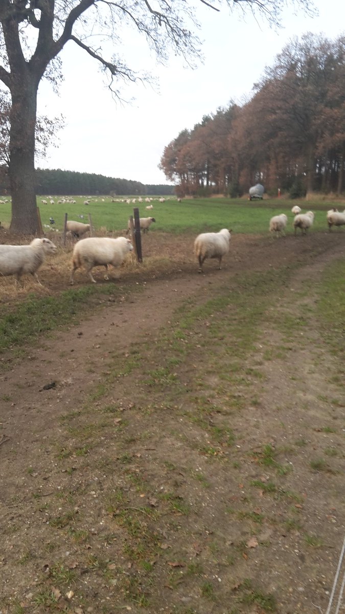 I got a second army!