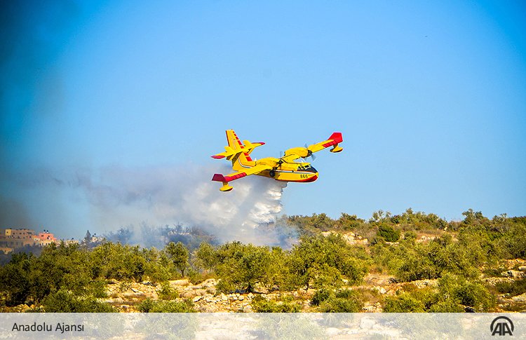 Türkiye'den gönderilen yangın söndürme uçakları, İsrail’deki yangına müdahale ediyor v.aa.com.tr/694183