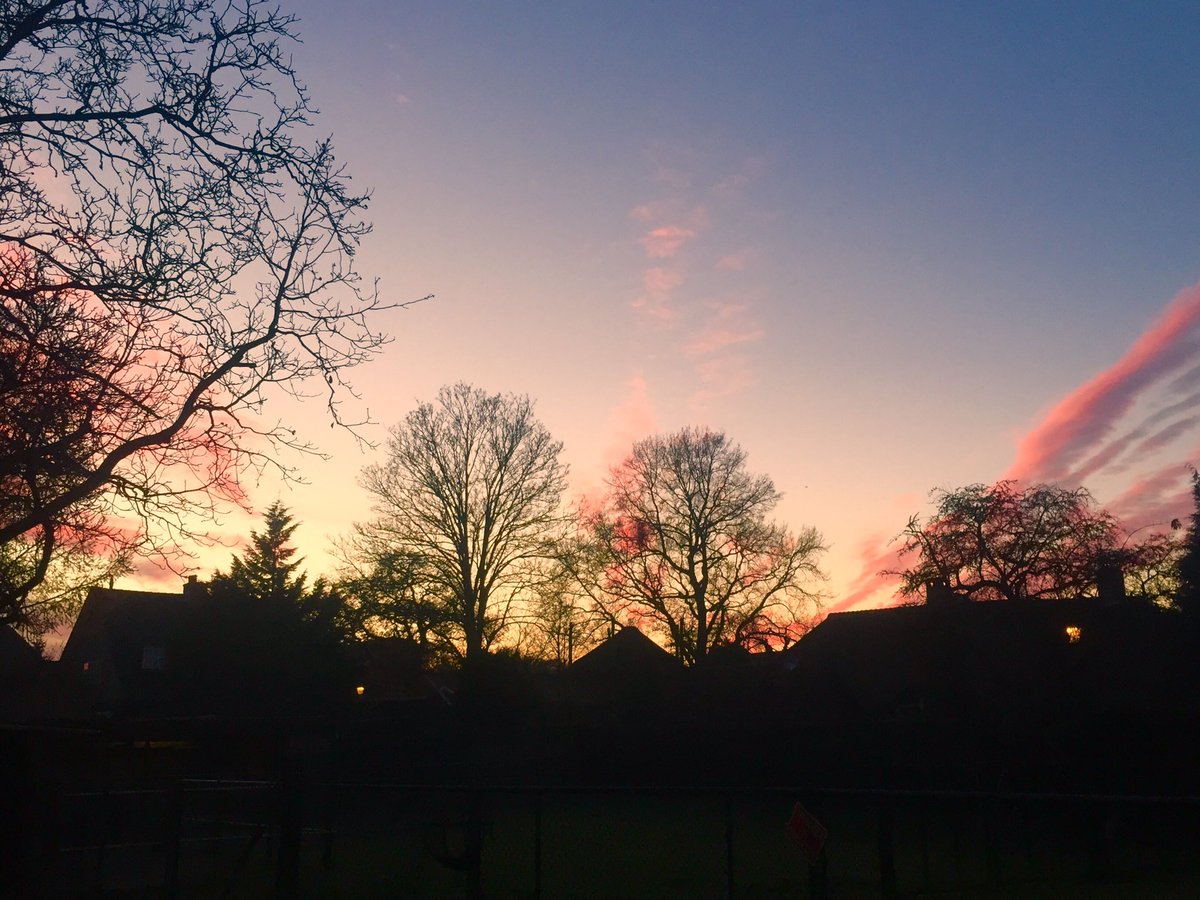 Morgane of Sark tweet media